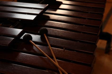 320+ Marimba Player Stock Photos, Pictures & Royalty-Free Images - iStock