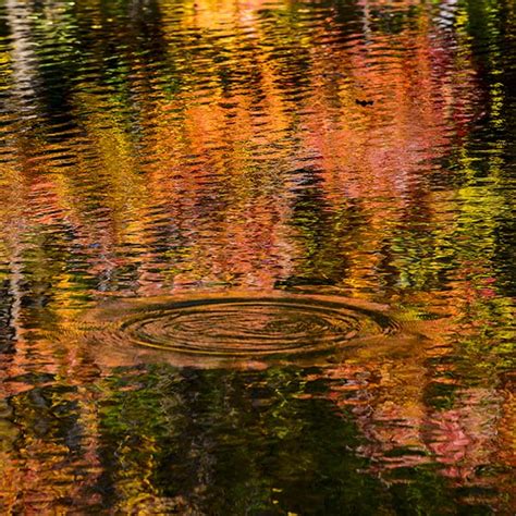 Ripples on a pond with reflections of autumn colors - StockFreedom ...