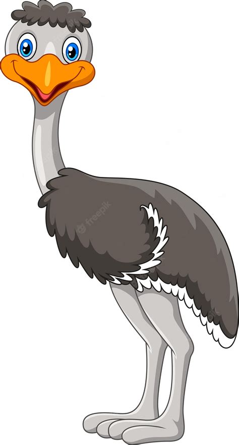 Cartoon Of An Emu On White Royalty Free SVG, Cliparts, Vectors - Clip ...