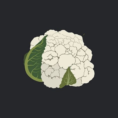 Best Quality Cauliflower Seeds For Gardening - Agriculture Review