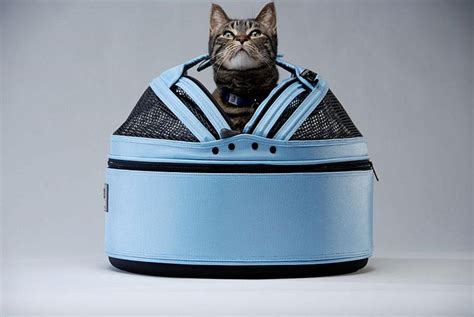 14 Best Cat Carrier for Car Travel Options You and Your Kitty will Love