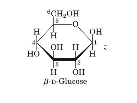 stereochemistry - Why is H bonded to C5 drawn below the plane in ...