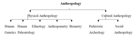 I.1.1 Meaning, scope and development of Anthropology – Self Study for Anthropology