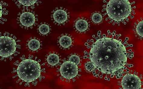 Avian_influenza_H5N1_virus_50271391 - Institute for Infectious Animal ...