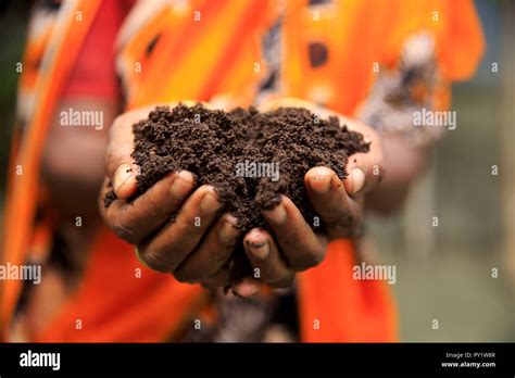 Farmer holding organic fertilizer. Manikganj, Bangladesh Stock Photo - Alamy