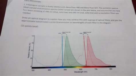 A biological sample is dually labeled with Alexa | Chegg.com