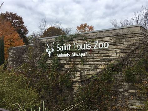 This Missouri Zoo Was Named Best In The Nation And Here's Why