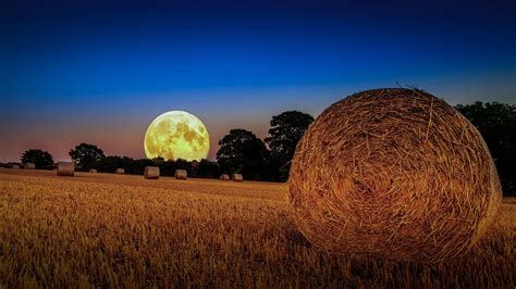 Harvest Moon by Simon Brown / 500px | Shoot the moon, Harvest moon, Moon