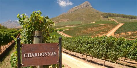 The Many Faces of Chardonnay - hometipple - blog