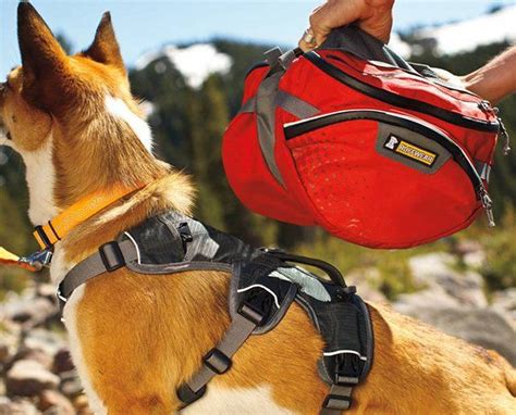 Ruffwear Dog Packs | Dog backpack, Hiking dogs, Dog gear