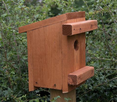 Dormouse Nesting Box - Etsy