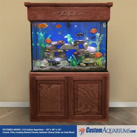 50 Gallon Fish Tank Dimensions In Feet - Ape Aquarium Fish