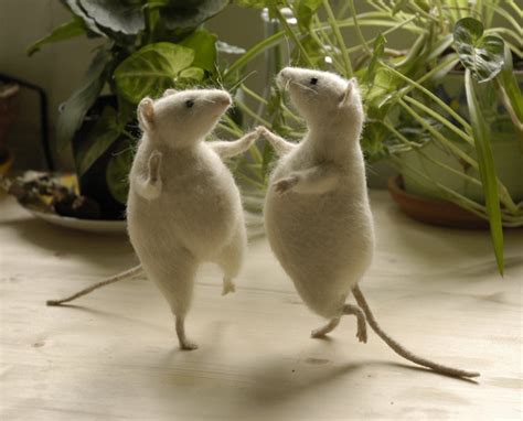 mice can dance?? - dancing little animals Photo (28662996) - Fanpop