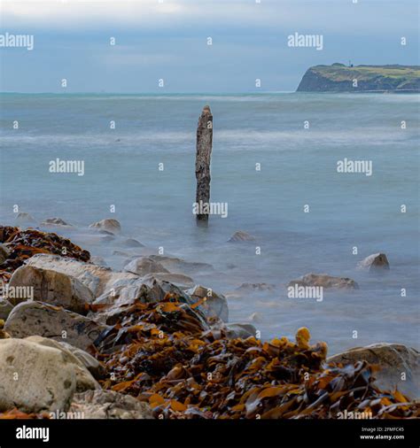 Kimmeridge Bay fossil hunting, Dorset, UK Stock Photo - Alamy