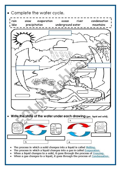 Water Cycle Worksheet Pdf