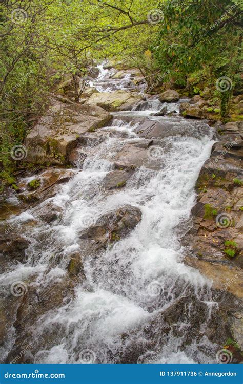 Jerte Valley Waterfall, Extremadura Stock Photo - Image of rainforest, extremadura: 137911736