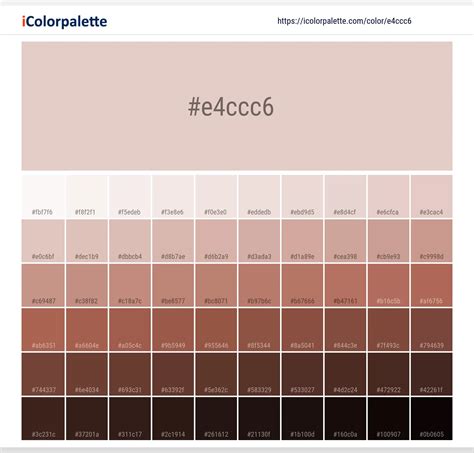 Pantone 13-1504 Tcx Peach Blush Color | Hex color Code #E4CCC6 information | Hsl | Rgb | Pantone