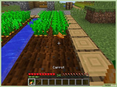 4 formas de plantar semillas en Minecraft - wikiHow