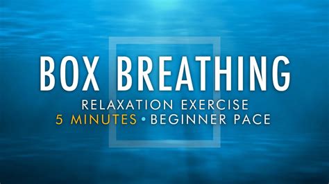 Box Breathing Relaxation Exercise | 5 Minutes Beginner Pace | Anxiety Reduction Pranayama ...