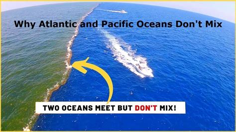 Why don't the Atlantic and Pacific Oceans mix? #youtubeshorts #Bright ...