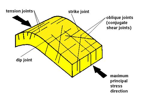 Joints Terminology