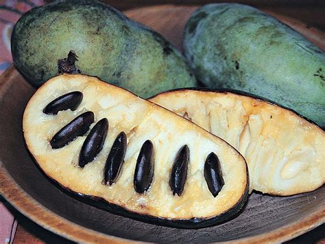 Meet the PawPaw Fruit - Health Journal