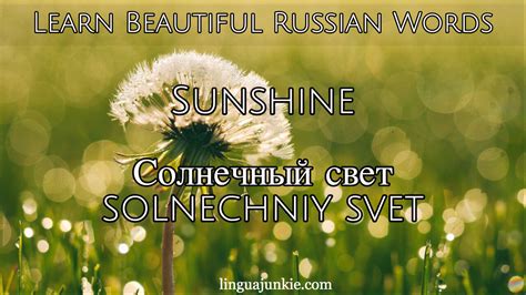 Learn Russian - The Top 20 Beautiful Russian Words You Should Know