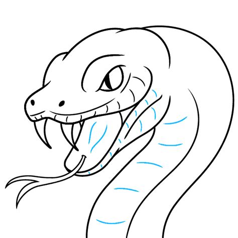 How To Draw A Snake Head