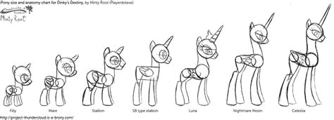 Minty Root's pony size and anatomy chart (v1) by MintyRoot on DeviantArt