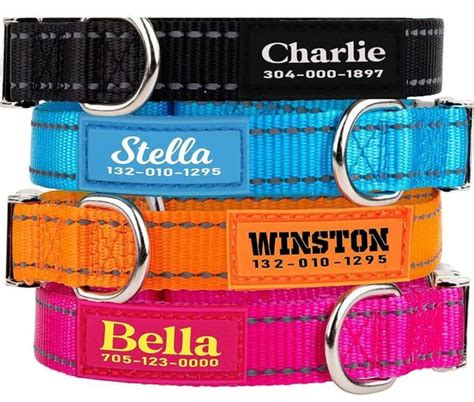 Teal Dog Collars: A Guide to Style, Comfort, & Safety