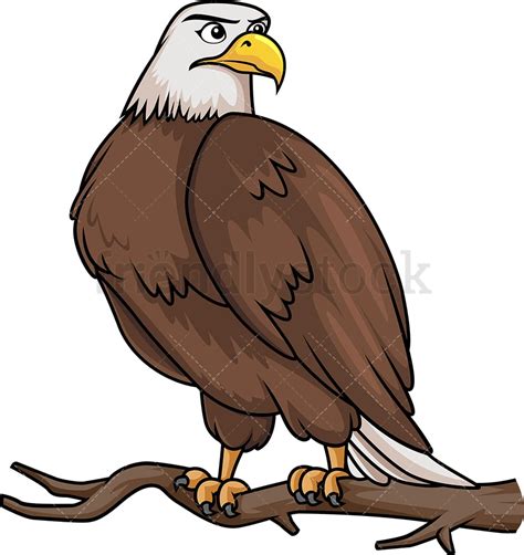 Bald Eagle On Tree Branch Cartoon Clipart Vector - FriendlyStock