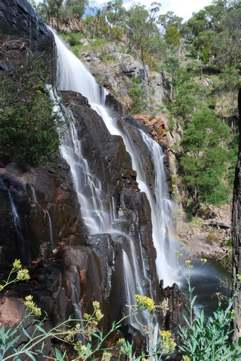 Mackenzie Falls, Grampians National Park jigsaw puzzle in Waterfalls puzzles on TheJigsawPuzzles.com