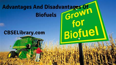 Biofuels Advantages And Disadvantages | What are Biofuels?, Definition, Benefits, Drawbacks ...