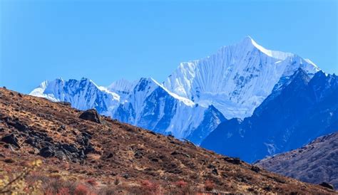 Langtang Valley Trek | Langtang Valley Facts, Attractions, Routes and ...