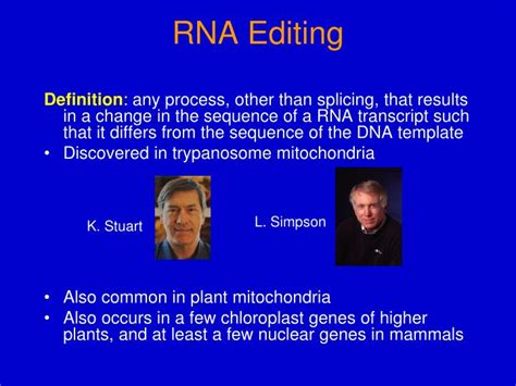 PPT - RNA Editing PowerPoint Presentation, free download - ID:781939