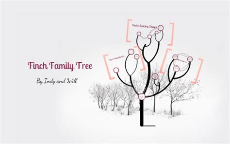 Finch Family Tree by Chica chica Chica Chica on Prezi