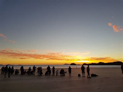 Cape Hillsborough Sunrise with the Wallabies Tour - Tour - Queensland