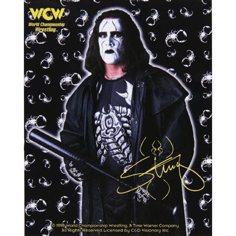 WCW - Sting Signature Pose Decal - Walmart.com