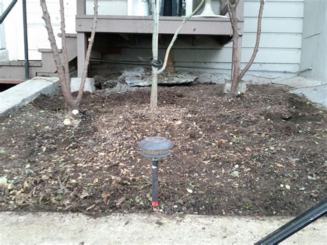 Installation: Front Yard Cleanup (Before and After) | boZannical Gardens