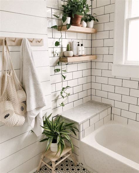 The 10 Best Indoor Plants for Your Bathroom - Decoholic