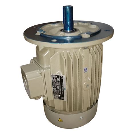 Three Phase Induction Motor at 11000.00 INR in Delhi | Himanshu Electricals