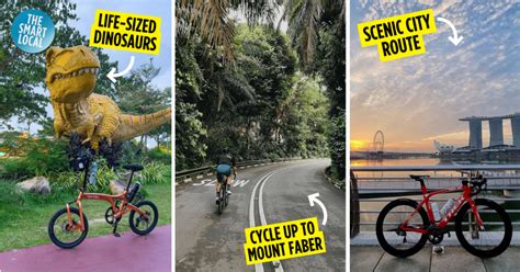 10 Cycling Routes In Singapore Sorted By Difficulty For All Skill Levels