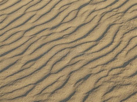 Texture of Sand Waves on the Beach or in the Desert. the Ripples of the ...