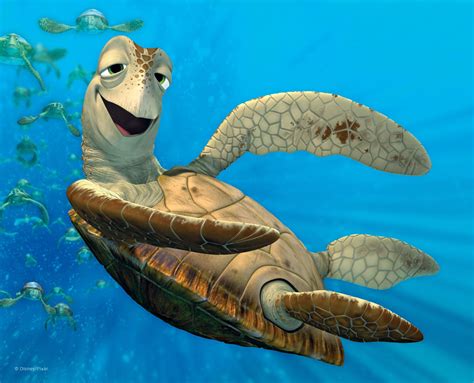 finding nemo | Turtle art, Finding nemo turtle, Sea turtle pictures