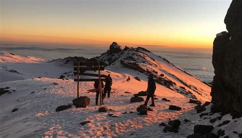 Kilimanjaro Lemosho trail - my story » Omakases