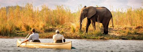 Lower Zambezi National Park Lodges | Zambia Lodges Lower Zambezi