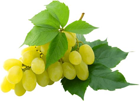 Grapes HD PNG Transparent Grapes HD.PNG Images. | PlusPNG