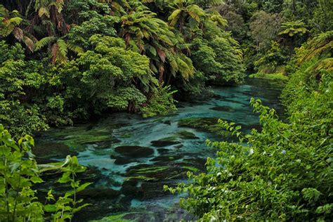 Putaruru - Blue Springs New Zealand [4096 x 2735][OC] : r/EarthPorn