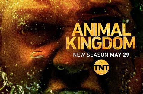 Animal Kingdom Season 3 Trailer and Key Art Revealed!