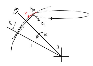 Amnesia's Dream: Precession Under Zero Gravity